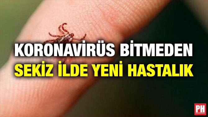 KORONAVİRÜS BİTMEDEN SEKİZ İLDE YENİ HASTALIK
