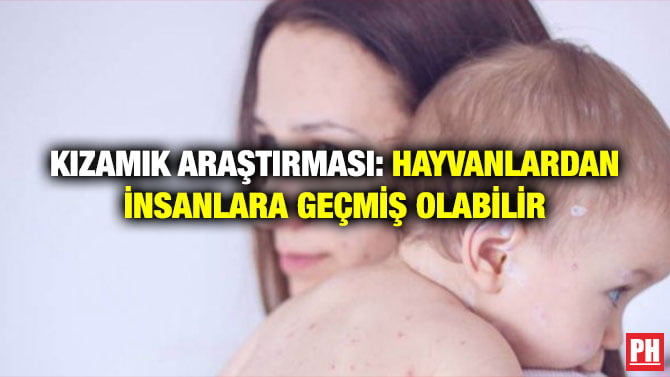 KIZAMIK ARAŞTIRMASI: HAYVANLARDAN İNSANLARA GEÇMİŞ OLABİLİR