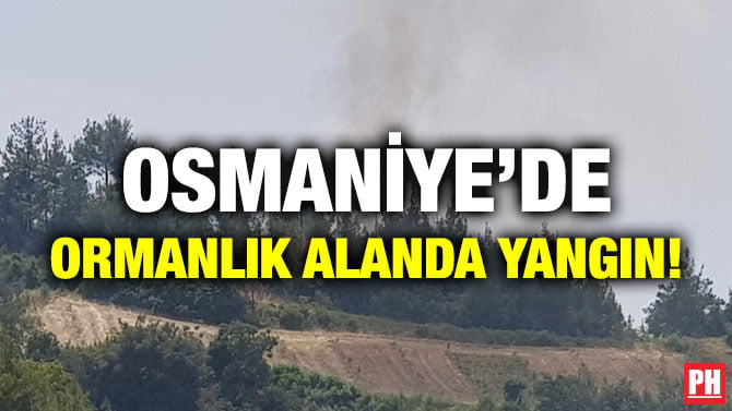 OSMANİYE’DE ORMANLIK ALANDA YANGIN!