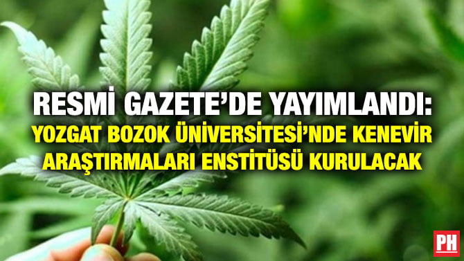RESMİ GAZETE’DE YAYIMLANDI: YOZGAT BOZOK ÜNİVERSİTESİ’NDE KENEVİR ARAŞTIRMALARI ENSTİTÜSÜ KURULACAK