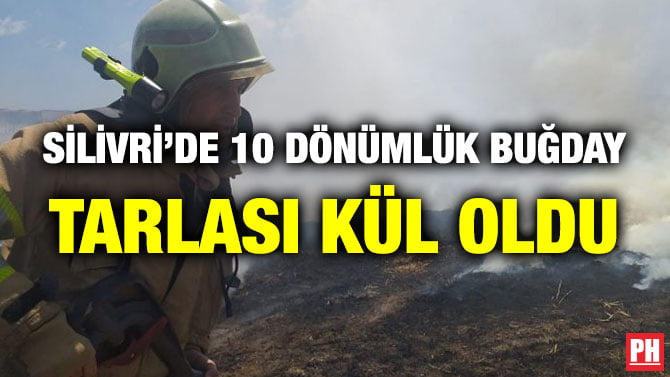 SİLİVRİ’DE 10 DÖNÜMLÜK BUĞDAY TARLASI KÜL OLDU
