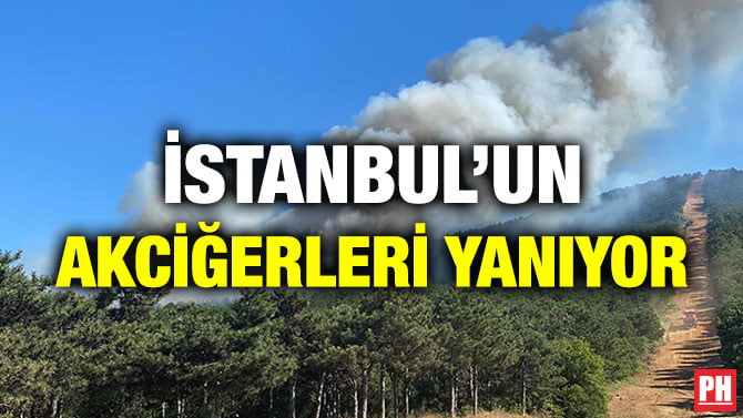 İSTANBUL’UN AKCİĞERLERİ YANIYOR