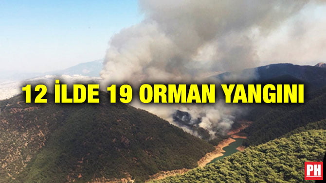 12 İLDE 19 ORMAN YANGINI