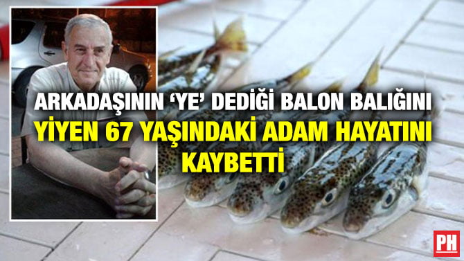 ARKADAŞININ ‘YE’ DEDİĞİ BALON BALIĞINI YİYEN 67 YAŞINDAKİ ADAM HAYATINI KAYBETTİ