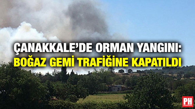 ÇANAKKALE’DE ORMAN YANGINI: BOĞAZ GEMİ TRAFİĞİNE KAPATILDI