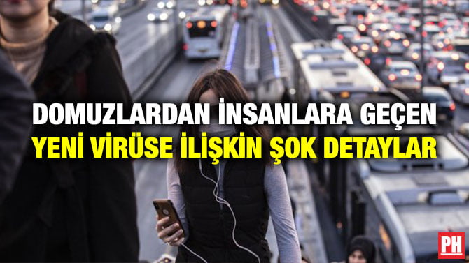 DOMUZLARDAN İNSANLARA GEÇEN YENİ VİRÜSE İLİŞKİN ŞOK DETAYLAR