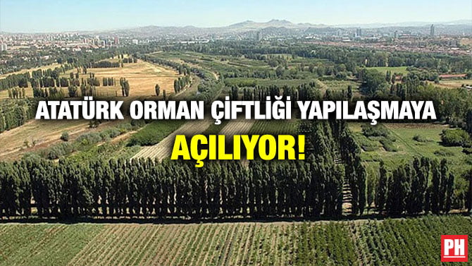 ATATÜRK ORMAN ÇİFTLİĞİ YAPILAŞMAYA AÇILIYOR!