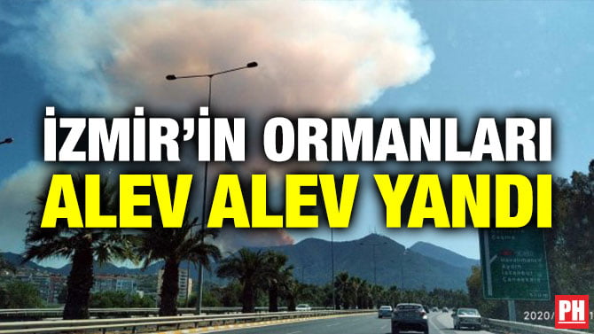 İZMİR’İN ORMANLARI ALEV ALEV YANDI