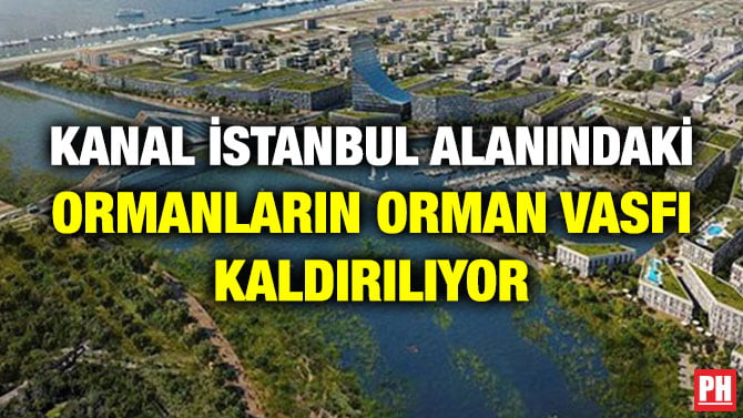 KANAL İSTANBUL ALANINDAKİ ORMANLARIN ORMAN VASFI KALKIYOR