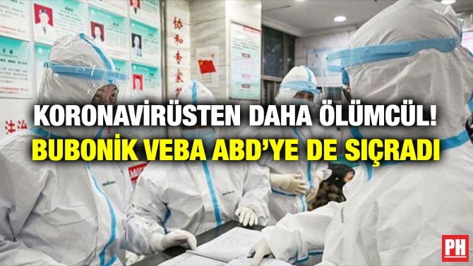 KORONAVİRÜSTEN DAHA ÖLÜMCÜL! BUBONİK VEBA ABD’YE DE SIÇRADI