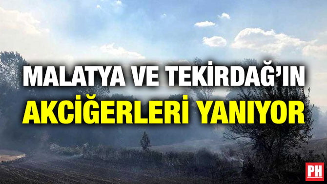 MALATYA VE TEKİRDAĞ’IN AKCİĞERLERİ YANIYOR