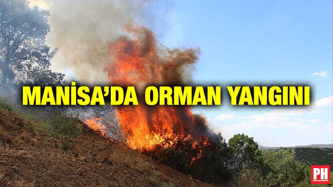 MANİSA’DA ORMAN YANGINI
