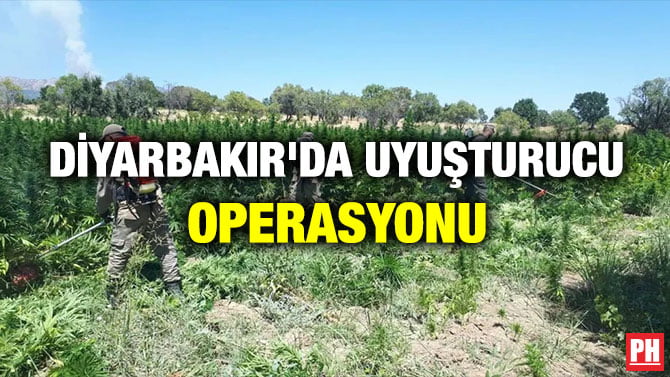 DİYARBAKIR’DA UYUŞTURUCU OPERASYONU