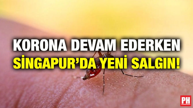 KORONA DEVAM EDERKEN SİNGAPUR’DA YENİ SALGIN!