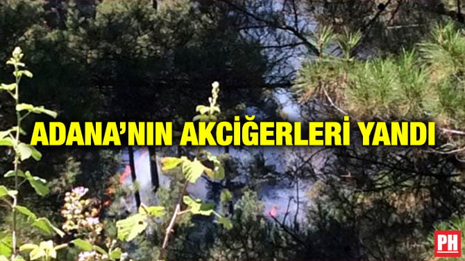 ADANA’NIN AKCİĞERLERİ YANDI