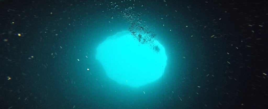 Amberjack adlı deliğin içeriden görünümü. (Mote Marine Laboratuvarı)