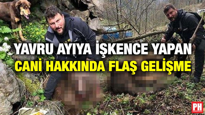YAVRU AYIYA İŞKENCE YAPAN CANİ HAKKINDA FLAŞ GELİŞME
