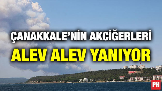 ÇANAKKALE’NİN AKCİĞERLERİ ALEV ALEV YANIYOR