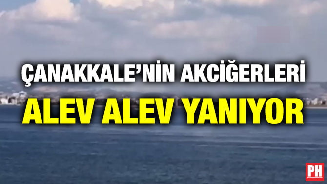 ÇANAKKALE’NİN AKCİĞERLERİ ALEV ALEV YANIYOR