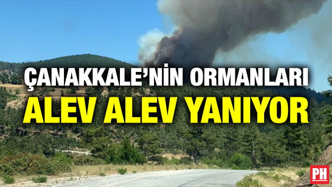 ÇANAKKALE’NİN ORMANLARI ALEV ALEV YANIYOR
