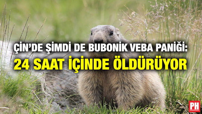 ÇİN’DE ŞİMDİ DE BUBONİK VEBA PANİĞİ: 24 SAAT İÇİNDE ÖLDÜRÜYOR