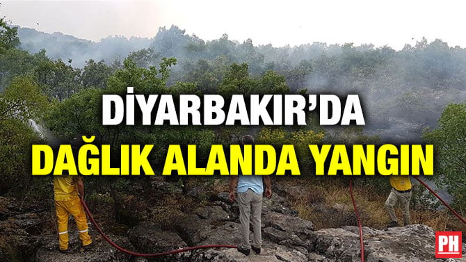 DİYARBAKIR’DA DAĞLIK ALANDA YANGIN