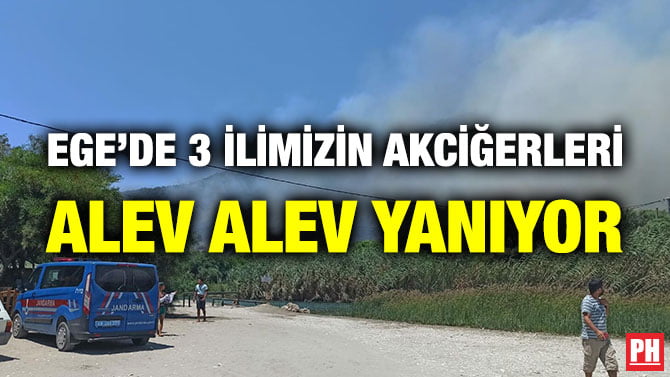EGE’DE 3 İLİMİZİN AKCİĞERLERİ ALEV ALEV YANIYOR