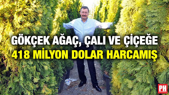 GÖKÇEK AĞAÇ, ÇALI VE ÇİÇEĞE 418 MİLYON DOLAR HARCAMIŞ
