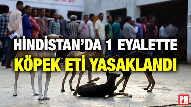 HİNDİSTAN’DA 1 EYALETTE KÖPEK ETİ YASAKLANDI