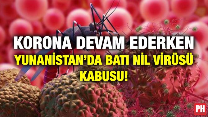 KORONA DEVAM EDERKEN YUNANİSTAN’DA BATI NİL VİRÜSÜ KABUSU!