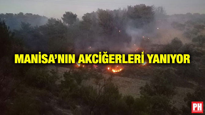 MANİSA’NIN AKCİĞERLERİ YANIYOR