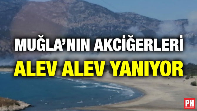 MUĞLA’NIN AKCİĞERLERİ ALEV ALEV YANIYOR