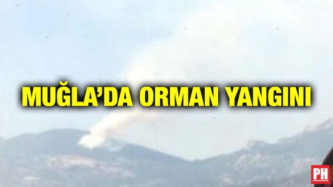 MUĞLA’DA ORMAN YANGINI