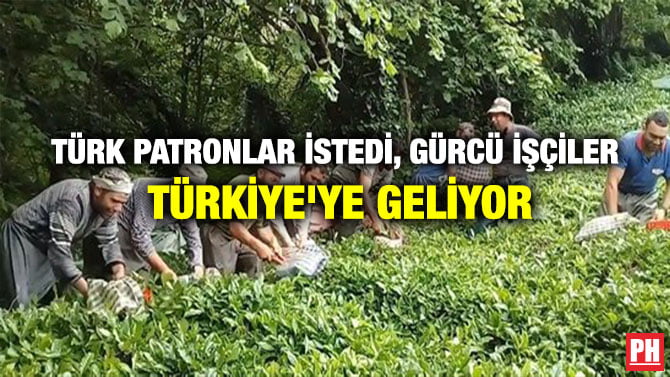 TÜRK PATRONLAR İSTEDİ, GÜRCÜ İŞÇİLER TÜRKİYE’YE GELİYOR