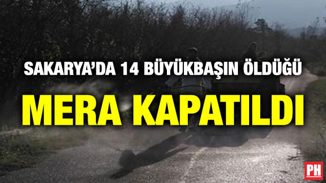 SAKARYA’DA 14 BÜYÜKBAŞIN ÖLDÜĞÜ MERA KAPATILDI