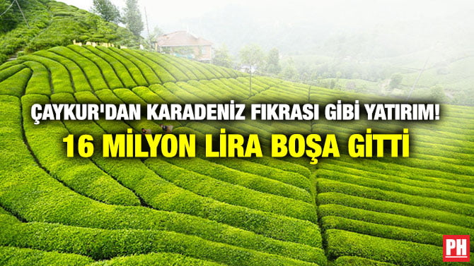 ÇAYKUR’DAN KARADENİZ FIKRASI GİBİ YATIRIM! 16 MİLYON LİRA BOŞA GİTTİ