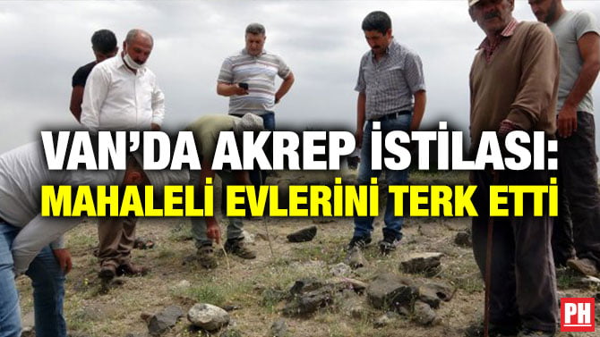 VAN’DA AKREP İSTİLASI: MAHALELİ EVLERİNİ TERK ETTİ