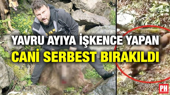 YAVRU AYIYA İŞKENCE YAPAN CANİ SERBEST BIRAKILDI