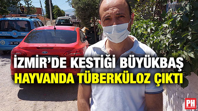 İZMİR’DE KESTİĞİ BÜYÜKBAŞ HAYVANDA TÜBERKÜLOZ ÇIKTI