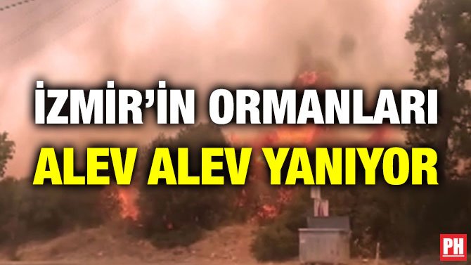 İZMİR’İN ORMANLARI ALEV ALEV YANIYOR