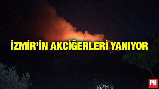 İZMİR’İN AKCİĞERLERİ YANIYOR
