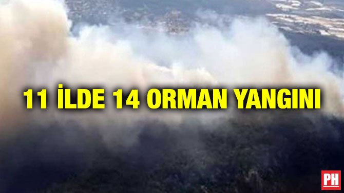 11 İLDE 14 ORMAN YANGINI