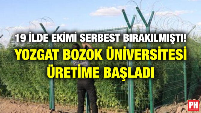 19 İLDE EKİMİ SERBEST BIRAKILMIŞTI! YOZGAT BOZOK ÜNİVERSİTESİ ÜRETİME BAŞLADI