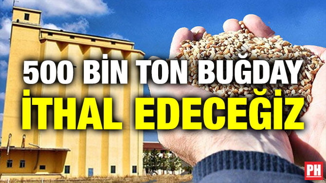 500 BİN TON BUĞDAY İTHAL EDECEĞİZ