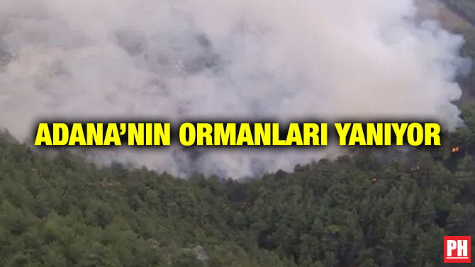 ADANA’NIN ORMANLARI YANIYOR