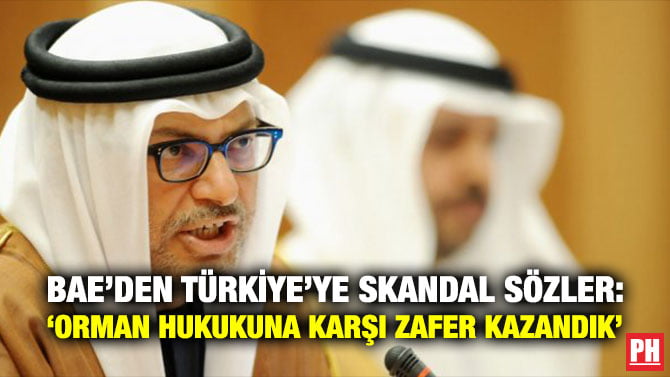 BAE’DEN TÜRKİYE’YE SKANDAL SÖZLER: ‘ORMAN HUKUKUNA KARŞI ZAFER KAZANDIK’