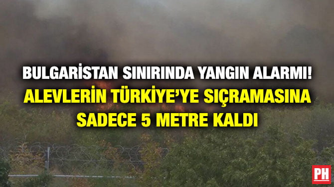 BULGARİSTAN SINIRINDA YANGIN ALARMI! ALEVLERİN TÜRKİYE’YE SIÇRAMASINA SADECE 5 METRE KALDI