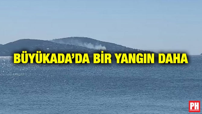 BÜYÜKADA’DA BİR YANGIN DAHA