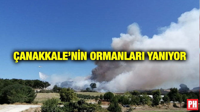 ÇANAKKALE’NİN ORMANLARI YANIYOR