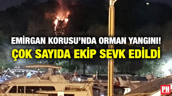 EMİRGAN KORUSU’NDA ORMAN YANGINI! ÇOK SAYIDA EKİP SEVK EDİLDİ
